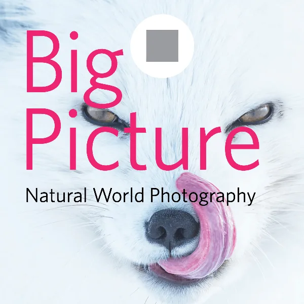 2023 BigPicture Natural World Photography Competition artwork