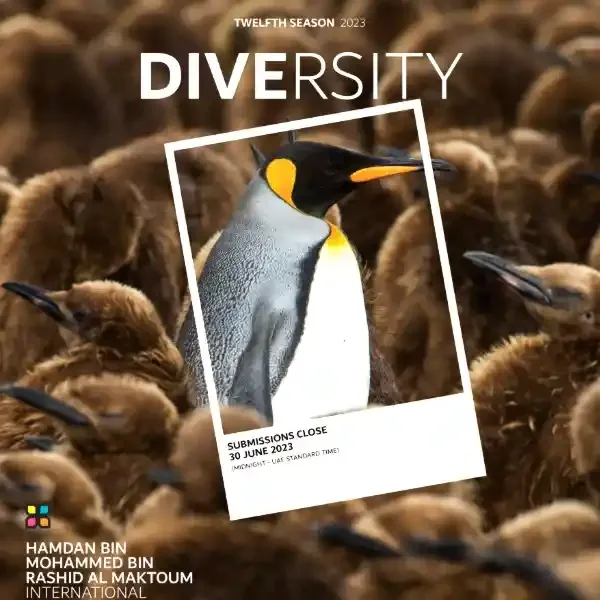 2023 Hamdan International Photography Award artwork