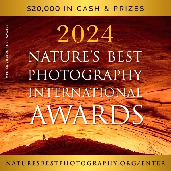 2024 Nature’s Best Photography International Awards artwork