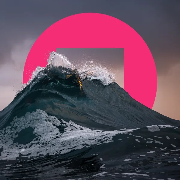 2025 BigPicture Natural World Photography Competition artwork