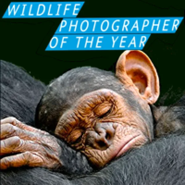 54th Wildlife Photographer Of The Year Competition artwork