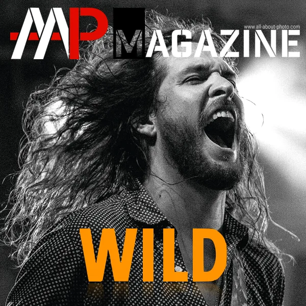 7th AAP Magazine Call For Entries artwork