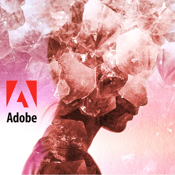Adobe Natural Instincts Visual Trend Report artwork