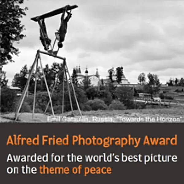 Alfred Fried Photography Award 2017 artwork