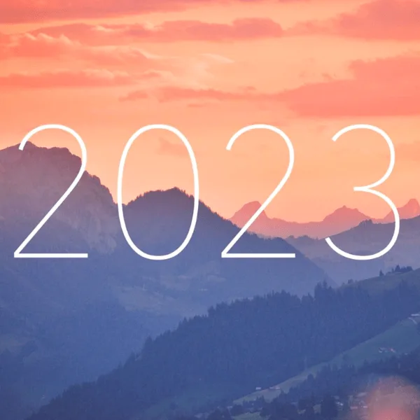 Alpine Fellowship Visual Arts Prize 2023 artwork