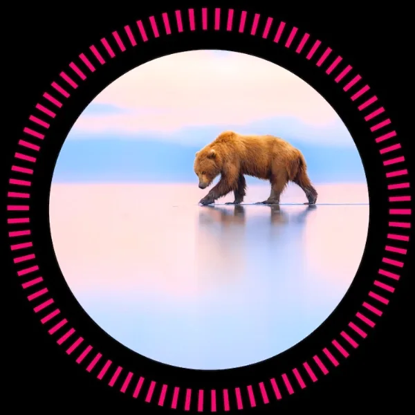 BigPicture Natural World Photography Competition 2024 artwork