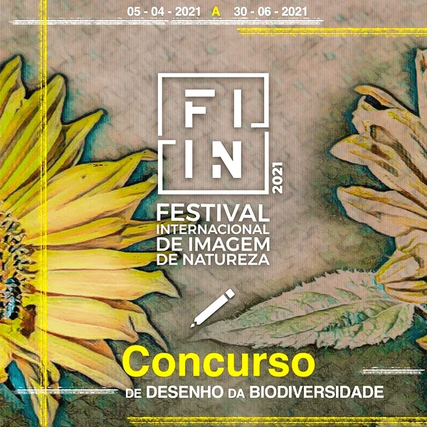 Biodiversity Drawing Contest 2021 artwork