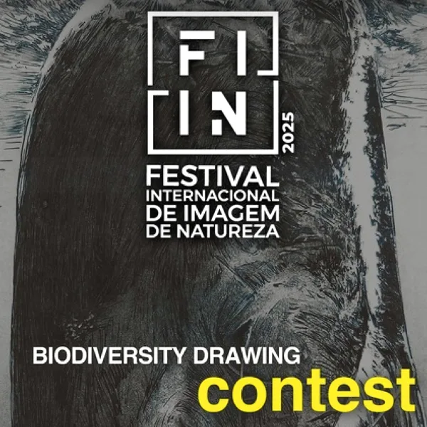 Biodiversity Drawing Contest 2025 artwork