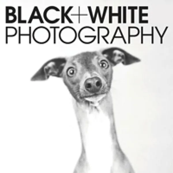 Black + White Photographer Of The Year 2018 artwork