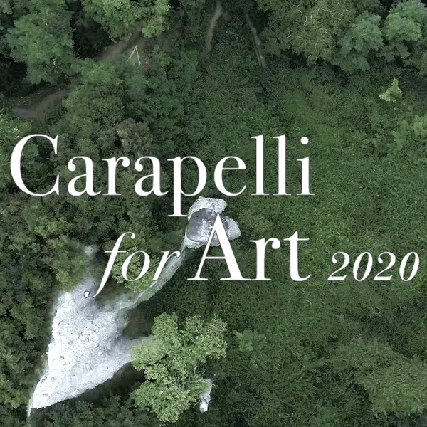 Carapelli For Art 2020 Visual Arts Prize artwork