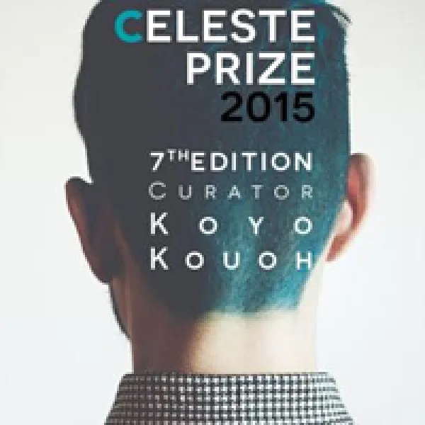 Celeste Prize 2015 Contemporary Arts Competition artwork