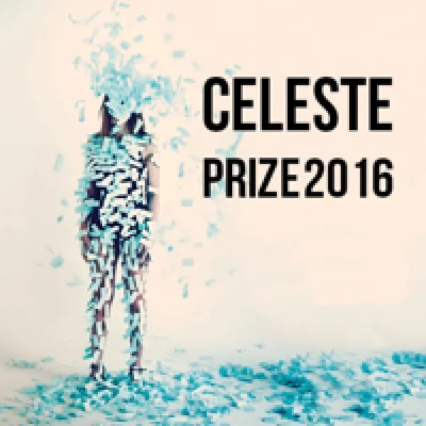 Celeste Prize 2016 Contemporary Arts Competition artwork