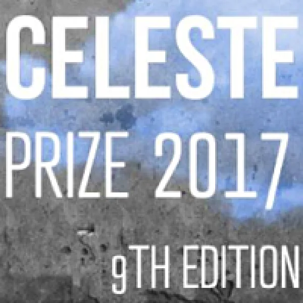 Celeste Prize 2017 Contemporary Art Competition artwork