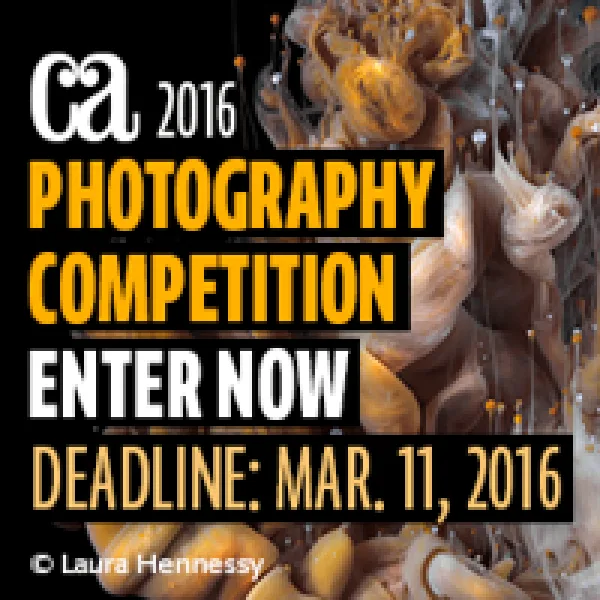Communication Arts 2016 Photography Competition artwork