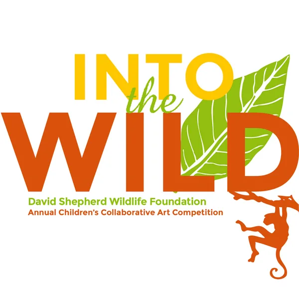 DSWF Global Canvas Art Competition 2018 artwork