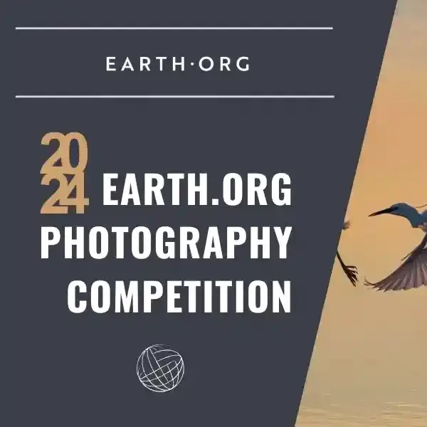 Earth.Org Photography Competition 2024 artwork