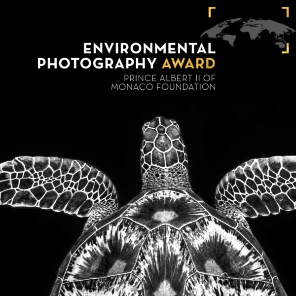 Environmental Photography Award 2023 artwork