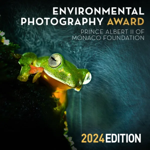 Environmental Photography Award 2024 artwork