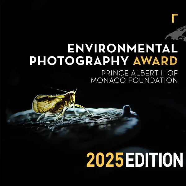 Environmental Photography Award 2025 artwork