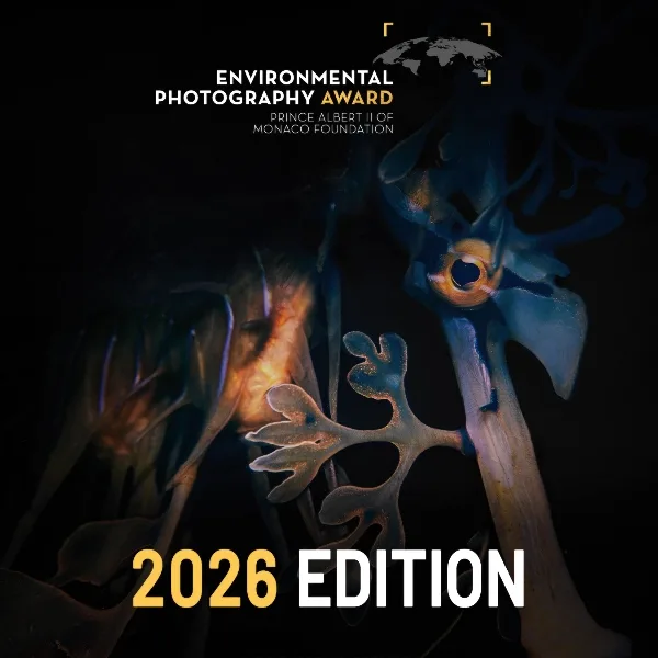 Environmental Photography Award 2026 artwork