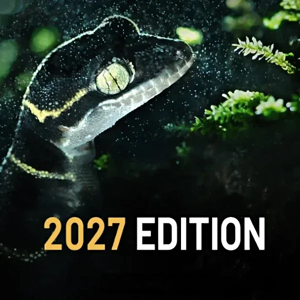 Environmental Photography Award 2027 artwork