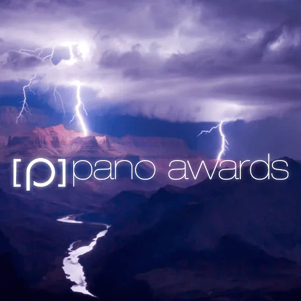Epson International Pano Awards 2020 artwork