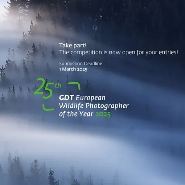 European Wildlife Photographer Of The Year 2025 artwork