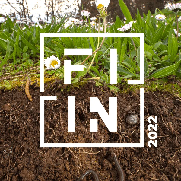 FIIN 2022 artwork