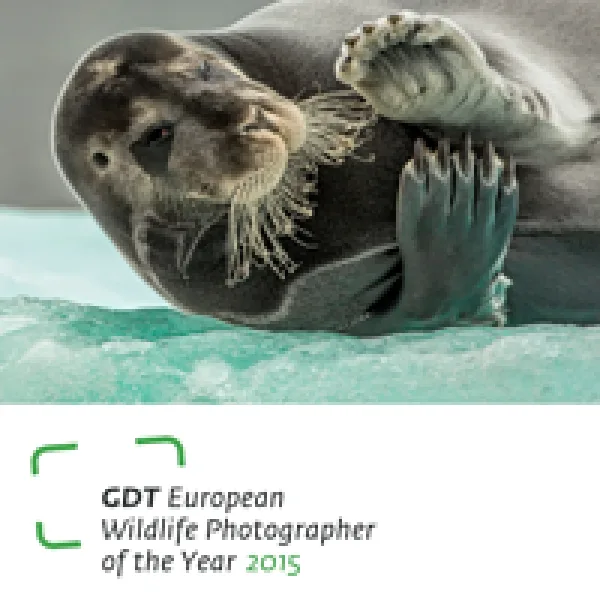 GDT European Wildlife Photographer Of The Year artwork