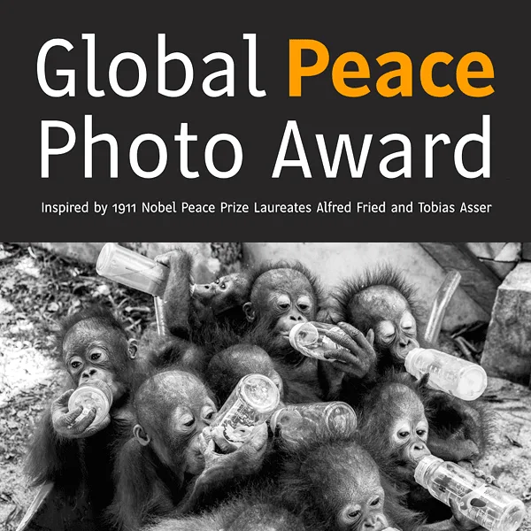 Global Peace Photo Award 2020 artwork