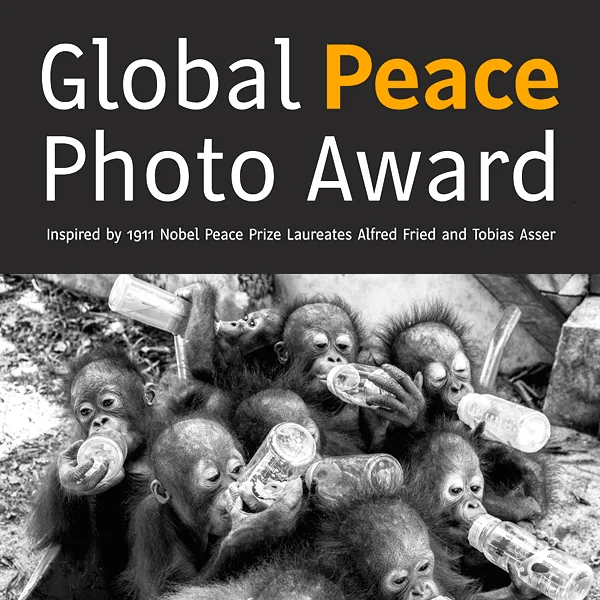 Global Peace Photo Award 2021 artwork