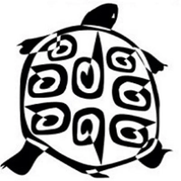 Golden Turtle Creative Competitions artwork