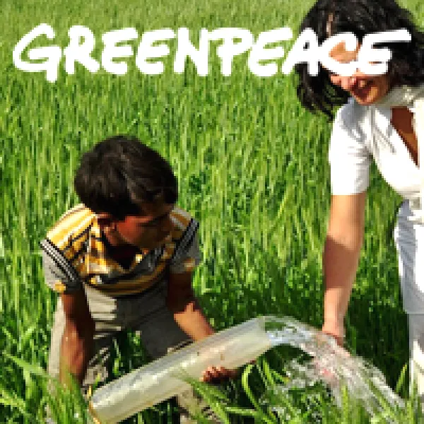 Greenpeace Energy [R]evolution Challenge artwork