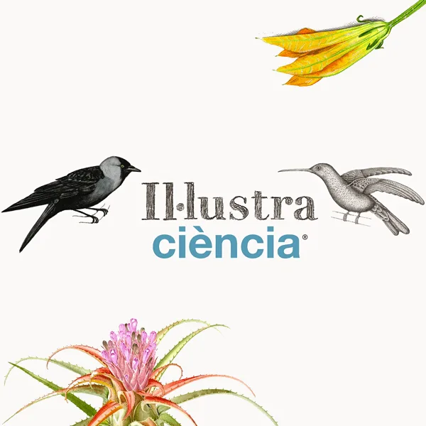 IllustraciÃ¨ncia 2021 International Illustration Award artwork