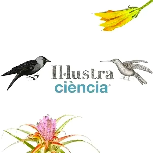 Illustraciencia International Illustration Award 2026 artwork