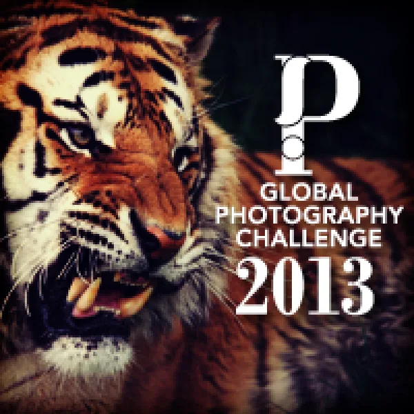 India Is Global Photography Challenge 2013 artwork