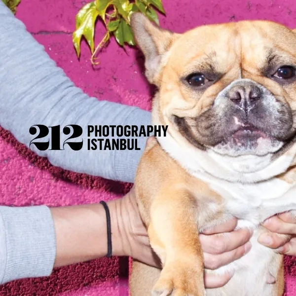 International 212 Photography Competition 2025 artwork