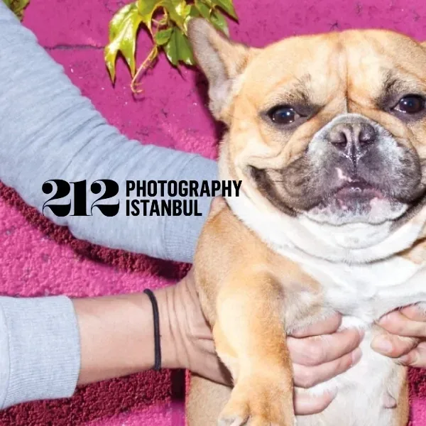 International 212 Photography Competition 2026 artwork