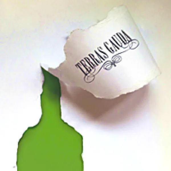 International Biennial Poster Design Terras Gauda artwork