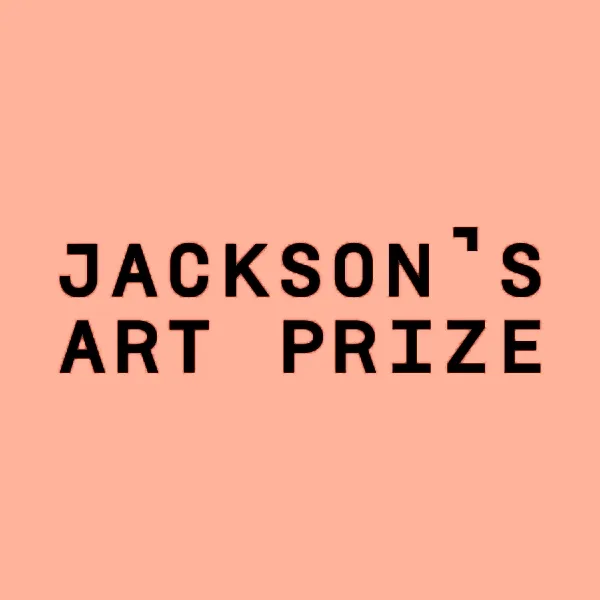 Jackson's Art Prize 2025 artwork