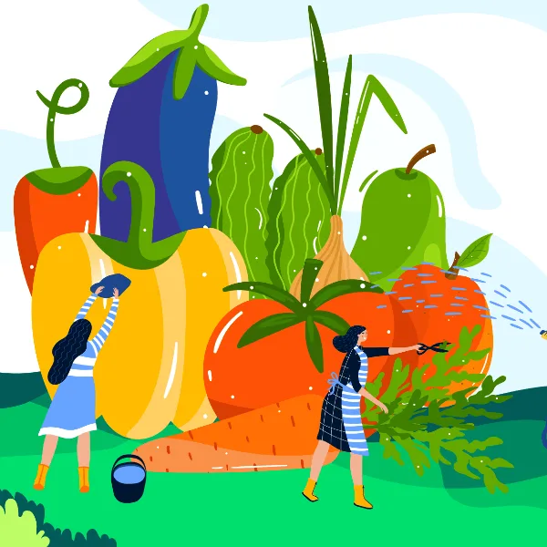 Jiaxing Rainbow Vegetable Garden Cartoon Competition图片