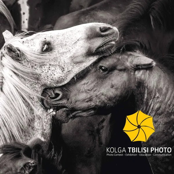 Kolga Tbilisi Photo Award 2019 artwork