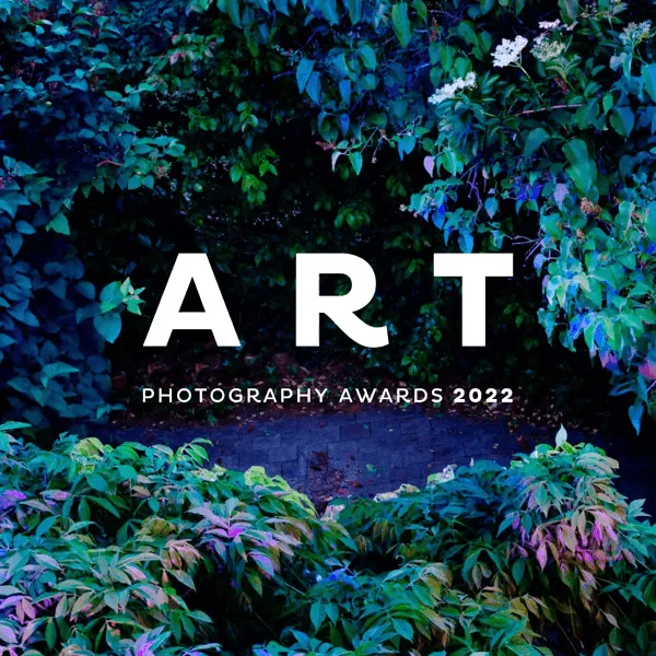 LensCulture Art Photography Awards 2022 artwork