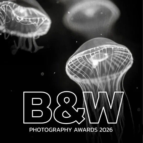 LensCulture Black & White Photography Awards 2026 artwork