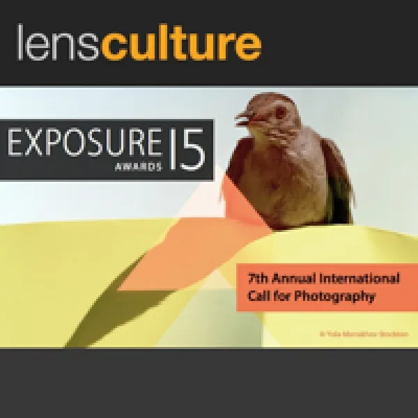 LensCulture Exposure Awards 2015 artwork