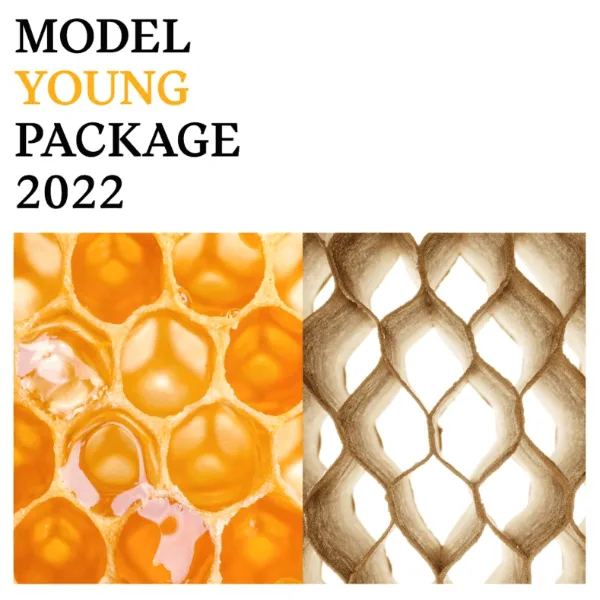 Model Young Package 2022 artwork