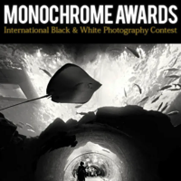 Monochrome Photography Awards artwork