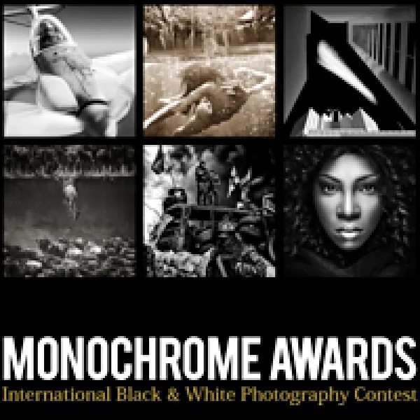 Monochrome Photography Awards 2016 artwork