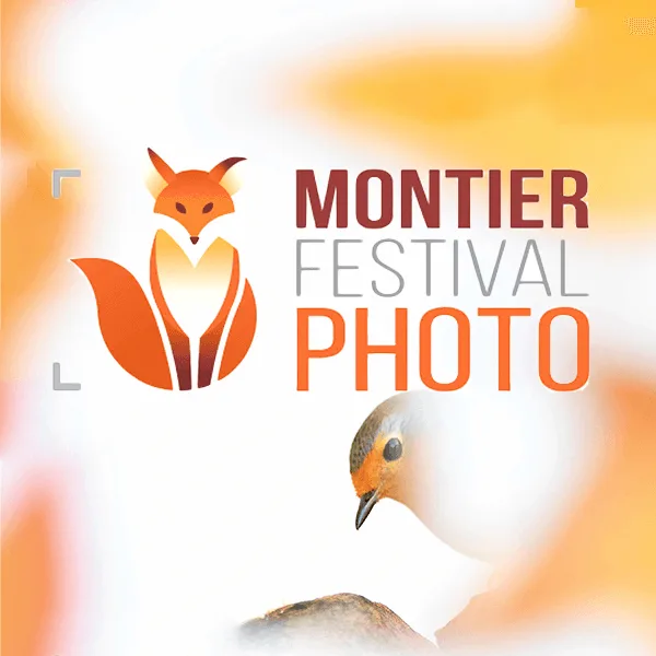 Montier Wildlife Photo Competition 2022 artwork
