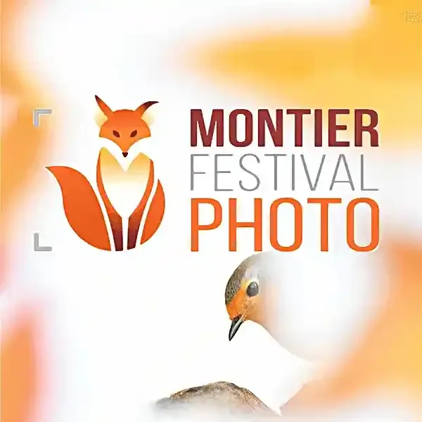 Montier Wildlife Photo Competition 2023 artwork